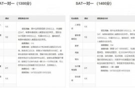 sat币多少钱一个最新价格,sats是什么币