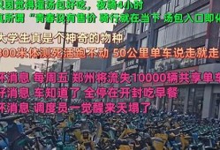 世界上没有使用过的数字货币是什么样的(数字货币没有手机怎么办)