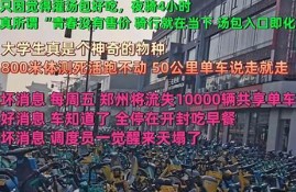 世界上没有使用过的数字货币是什么样的(数字货币没有手机怎么办)