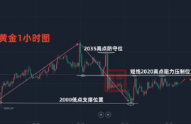 icp币未来价格预测最新预测走势,icp是什么币？