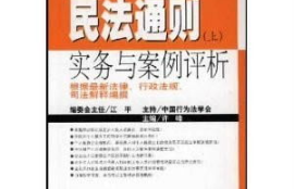 民法通则如何解释数字货币,民法通则，是对虚拟资产是怎样规定的