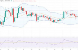 dogecoin币今日价格行情分析,狗狗币如何购买？