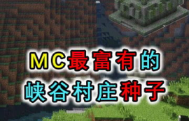 mc币子,我的世界货币可以换什么_我的世界村交换通用货币是什