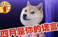 doge狗狗币多少钱一个