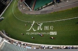 香港马赛马会最准资料(香港马赛马会下载app安全吗)