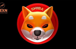 shiba inu币最新消息最新消息今天最新消息,Shiba Iu币价格走势