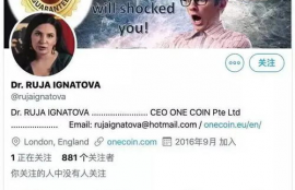 one币是维卡币吗,维卡币是什么样的币？