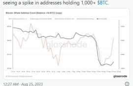 btc比特币一共发行多少啊现在了,比特币的总供应量是多少?