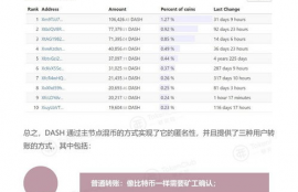 dash币生态,达世币DASH是什么？