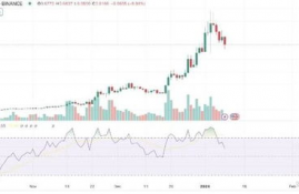 ordi币价格美元,ordi币的美元价格:今天的分析