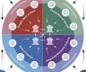 央行数字货币新思路最新消息新闻(央行数字货币试点城市最新消息)