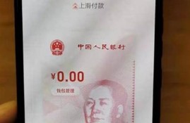 人民币数字钱包app下载安装(人民币数字钱包在哪下载)