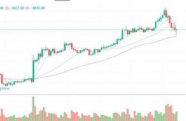 bch比特现金历史趋势图最新预测分析,分叉后，比特币现金（BCH）的价格会是多少