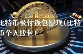 比特币极付钱包(比特币支付钱包)