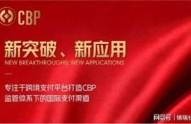 CBP是什么数字货币,bitcoin cash(BCC)是什么