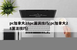 pc加拿大28漏洞技巧(pc加拿大28有多假)