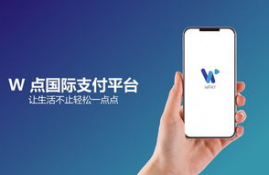 w币是什么平台