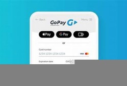 gopay钱包里有usdt(gopay钱包最新版本)