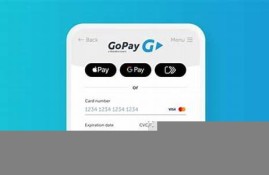 gopay钱包里有usdt(gopay钱包最新版本)