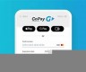 gopay钱包里有usdt(gopay钱包最新版本)