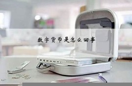 数字货币是怎么回事(数字货币是怎么回事呢怎么建立交易呢进入交易)