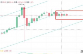 ssv币的最新行情分析, 2、市场概况。