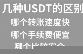 usdt加密货币下载官方最新版中文版