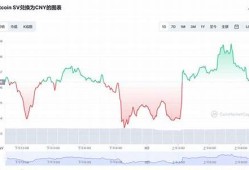 bsv转入了btc钱包地址(btc转到bch地址会怎么样)