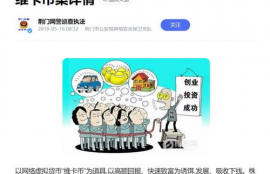 one币和维卡币哪个好,投资加密数字货币“维卡币”为什么会升值