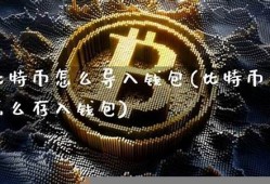 网上买比特币怎样存入钱包(网上买比特币怎样存入钱包中)