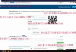 btc钱包中文注册网站(btc wallet 钱包)