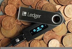 ledger钱包支持哪个链的usdt(ledger钱包支持中文吗)