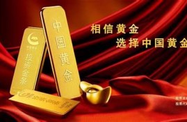 中国黄金公司原副总经理被查的处理进展(中国黄金集团董事长简历)