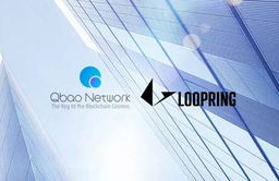 loopring币潜力,不建议参与Loopring的公开售卖中是什么意思