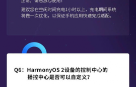 网上质押harmony币会丢失吗是真的吗,建设银行质押派币是真的吗