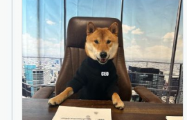 doge狗狗币合约地址是什么级别啊,狗币签约地址是哪个级别?