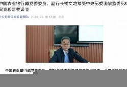 农行副行长楼文龙被逮捕的全球影响力(农业银行楼志刚简历)