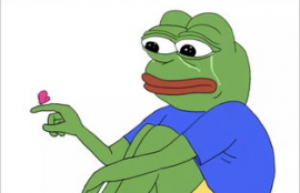 pepe the frog,Iroducio