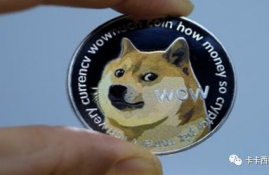 dogecoin币价格,为什么Dogecoi币的价格高涨?