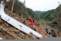 东航航班乘客死亡 事件背后原因深度解析(东航事件始末)