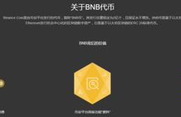 bnb币是什么币啊的缩写是什么, BB币是什么?详细解说BB币的略语。