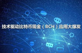 2018比特币现金bch行情