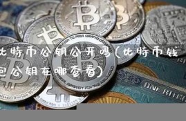 比特币公开展示钱包(比特币在哪里显示)