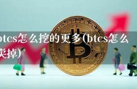 btcs中本聪币上线钱包下载(btcs中本聪币app)