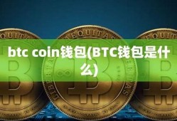 什么btc钱包好用(btc钱包官方下载)