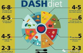 dash的意思,理解和应用:Dash -数据可视化和交互文档工具的强大助手