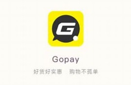 gopay数字货币app下载(paypal钱包)