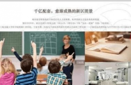 cfx币有什么应用,电子商务。