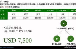 rec数字货币,求分享：rec虚拟货币是什么 ？