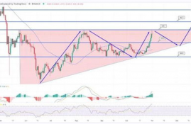 bnb币能涨到1000吗,BB币的历史表现。